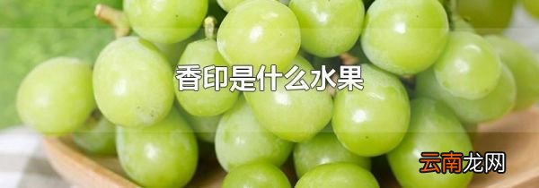 香印是什么水果