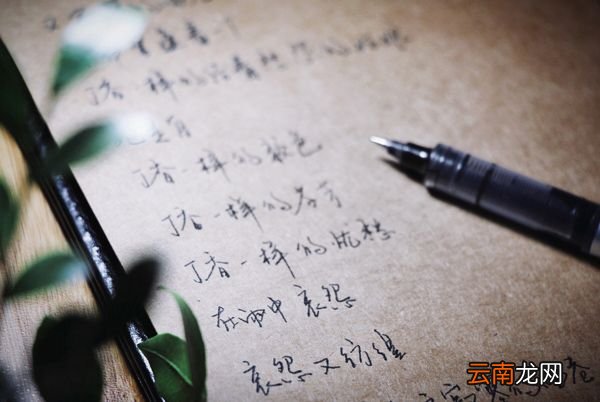 小学生如何写好硬笔书法