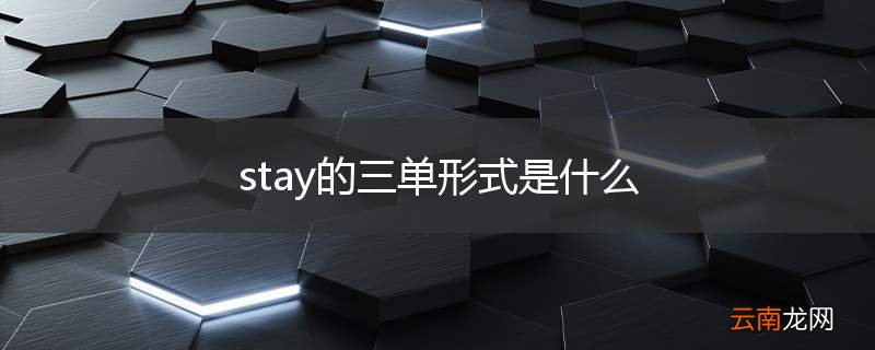 stay的三单形式是什么