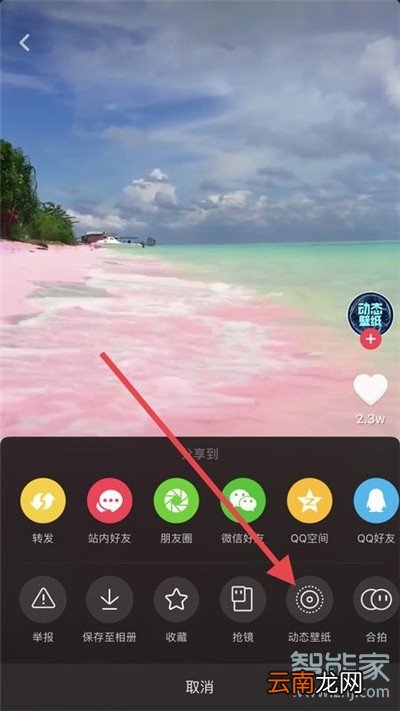 iphone11Pro怎么设置抖音动态壁纸