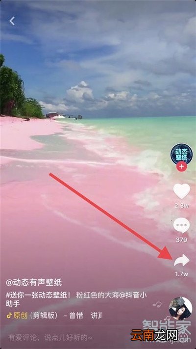 iphone11Pro怎么设置抖音动态壁纸