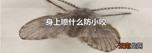 身上喷什么防小咬