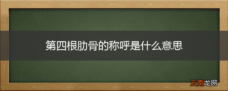 第四根肋骨的称呼是什么意思