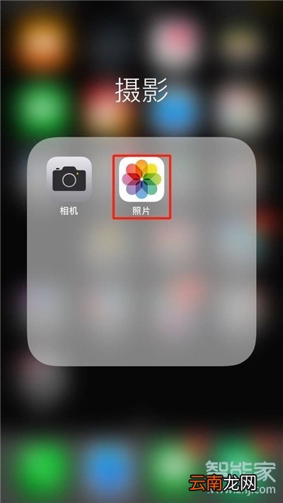 iphone11pro怎么搜索照片