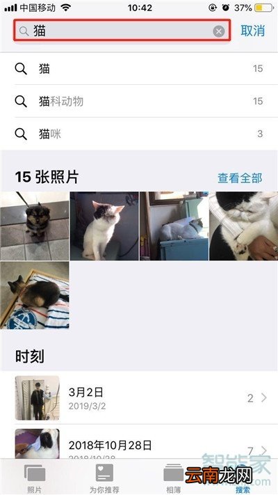 iphone11pro怎么搜索照片