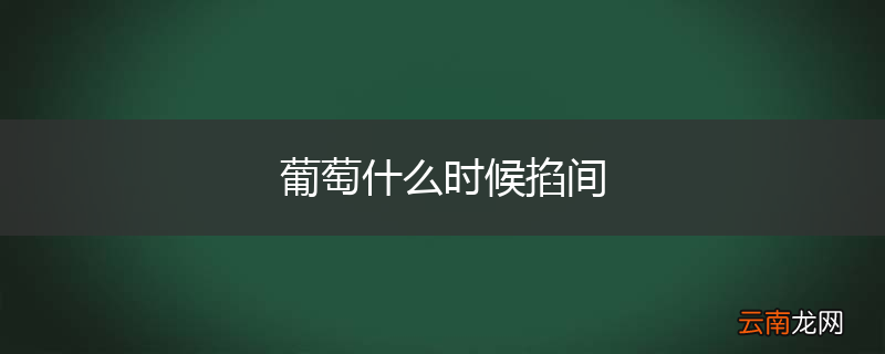 葡萄什么时候掐间
