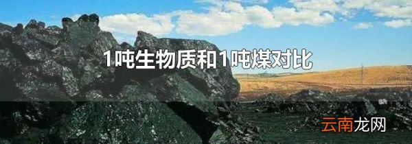 1吨生物质和1吨煤对比