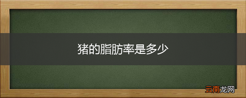 猪的脂肪率是多少