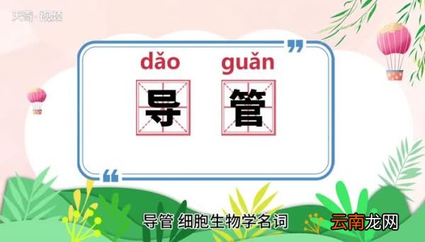 导管的意思 导管的意思是什么