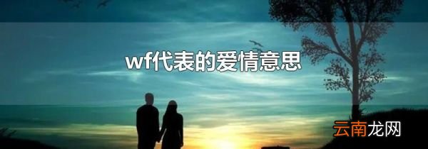 wf代表的爱情意思