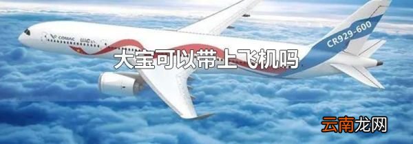 大宝可以带上飞机吗