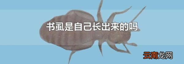 书虱是自己长出来的吗
