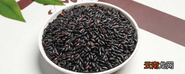 黑糯米和黑米的区别 黑糯米和黑米的区别的功效与作用