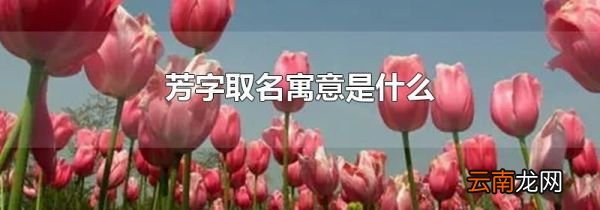 芳字取名寓意是什么