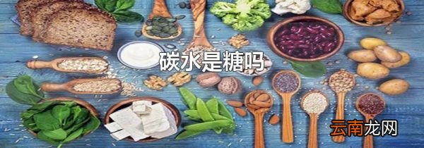 碳水是糖吗