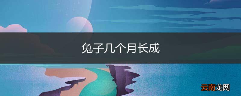 兔子几个月长成