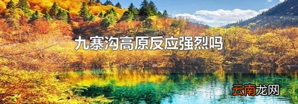 九寨沟高原反应强烈吗