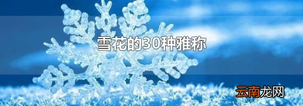 雪花的30种雅称