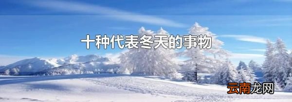 十种代表冬天的事物