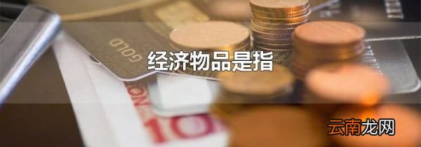 经济物品是指