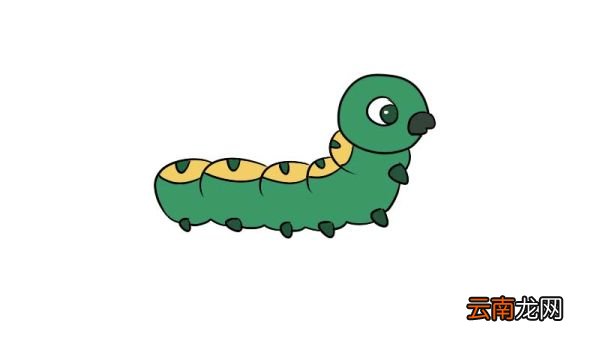 毛毛虫简笔画怎么画教程