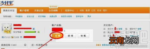 支付宝信用卡充值 信用卡可以给支付宝充值吗