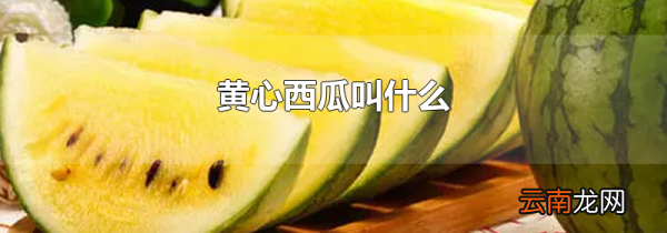黄心西瓜叫什么