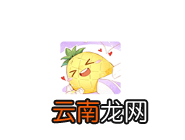 菠萝饭设置夜间模式的操作过程