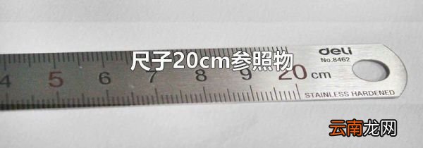 尺子20cm参照物