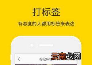 nice设置语言的操作过程
