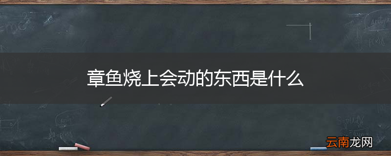章鱼烧上会动的东西是什么