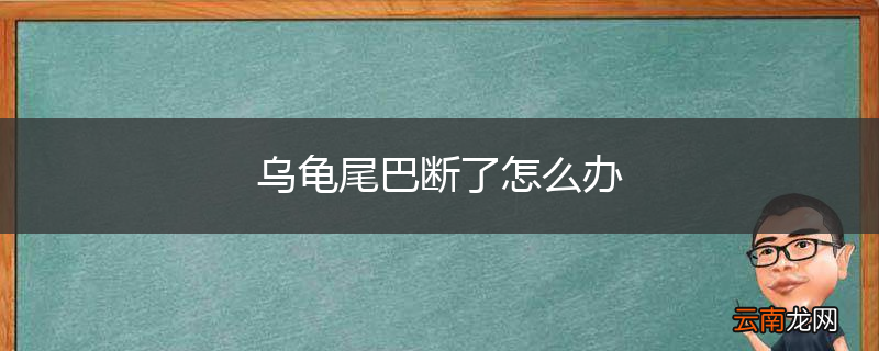 乌龟尾巴断了怎么办