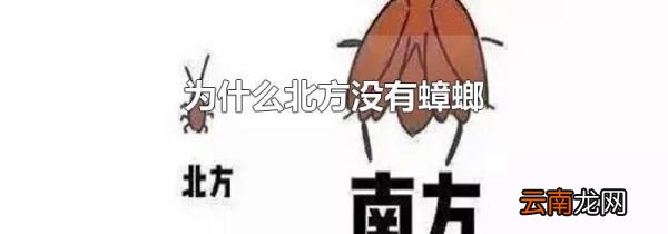 为什么北方没有蟑螂