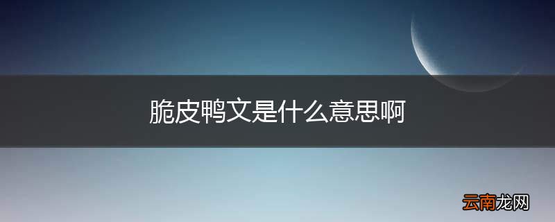 脆皮鸭文是什么意思啊