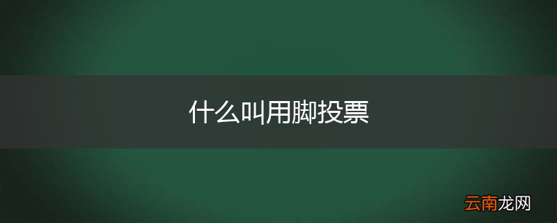 什么叫用脚投票