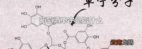 葡萄酒单宁是指什么