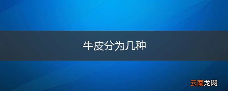 牛皮分为几种