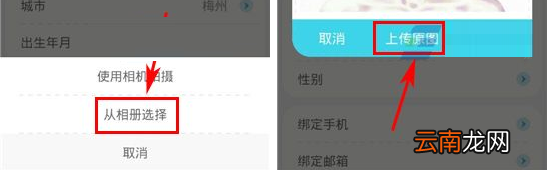 收留我APP上传照片的操作流程