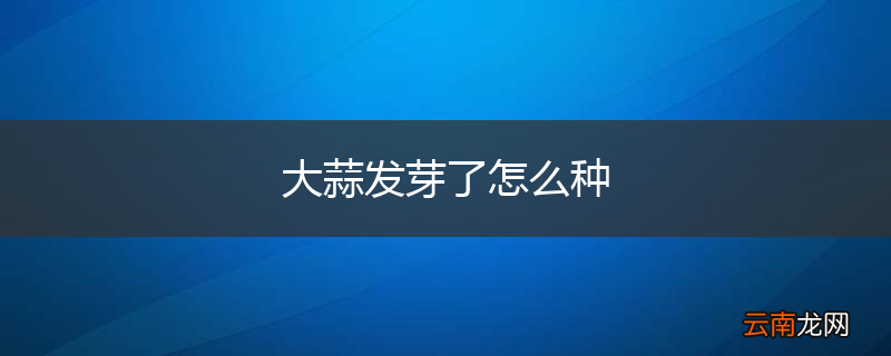 大蒜发芽了怎么种