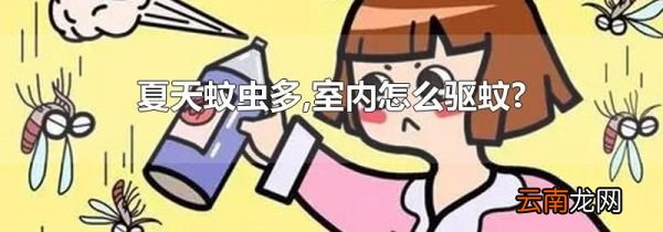 夏天蚊虫多,室内怎么驱蚊?