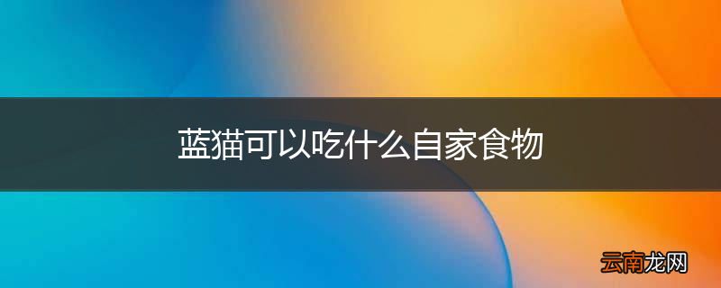 蓝猫可以吃什么自家食物