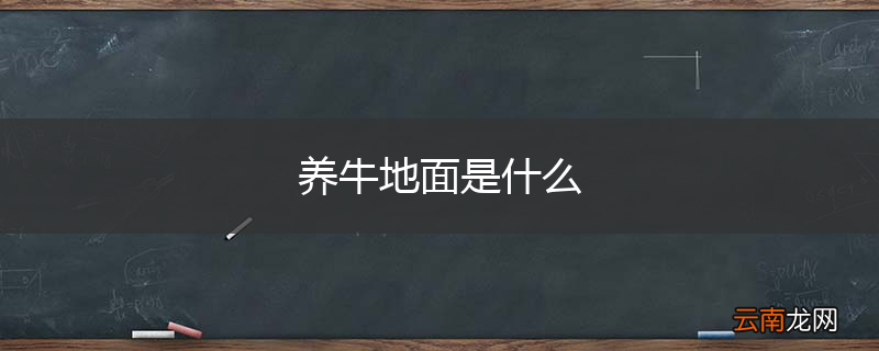 养牛地面是什么
