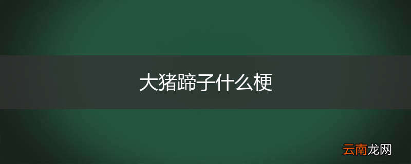 大猪蹄子什么梗