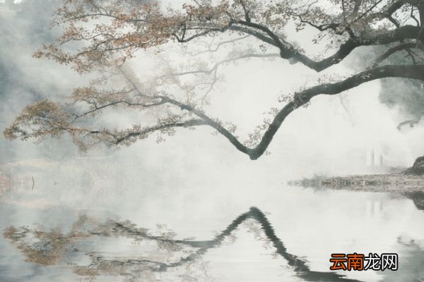门泊东吴万船泊的意思门泊东吴万船是哪首诗