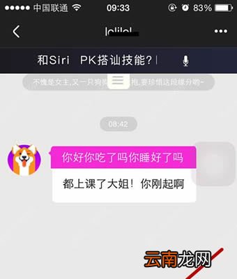 在女主与狗里进行聊天的简单操作