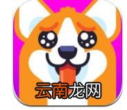 在女主与狗里进行聊天的简单操作