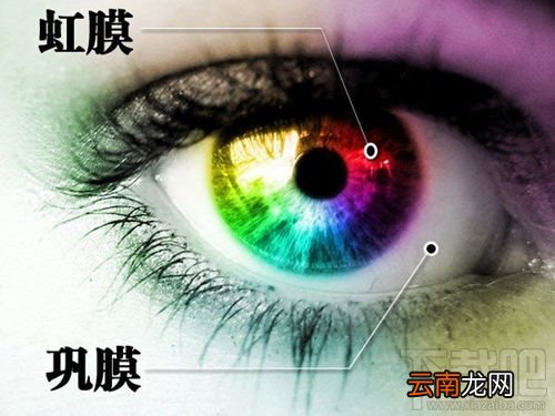 三星Note7虹膜识别怎么设置 三星Note7虹膜识别设置方法