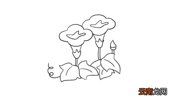 花的简笔画图片大全集 花怎么画简单