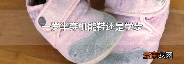 一岁半穿机能鞋还是学步