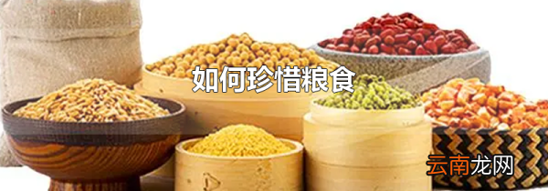 如何珍惜粮食